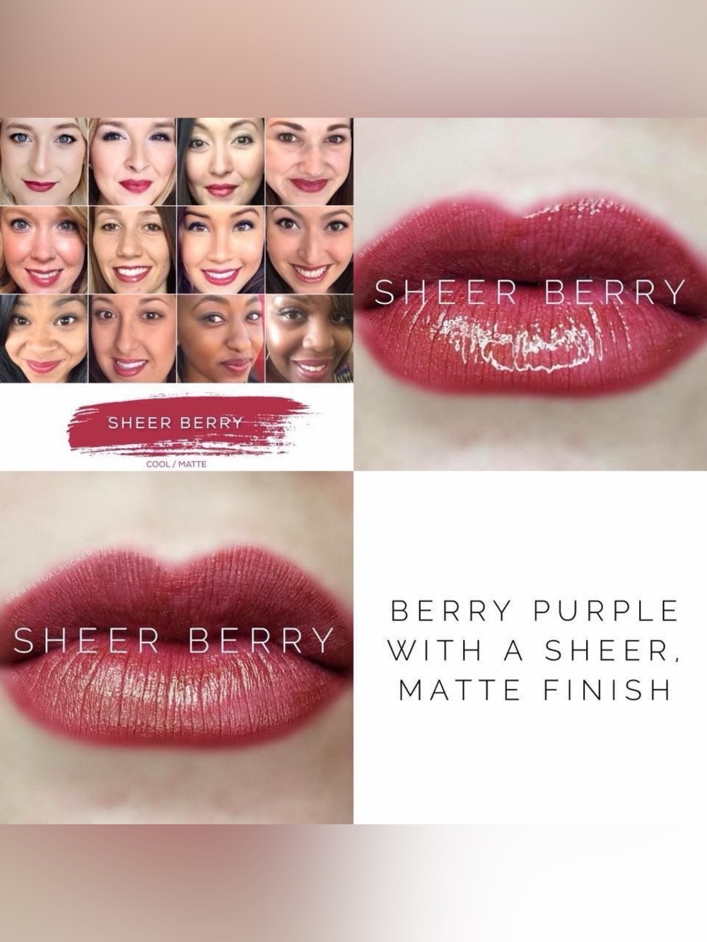 SeneGence Sheer Berry Diamond Lip Color
